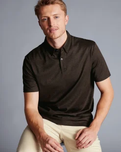 Cheap Charles Tyrwhitt Birdseye Stripe Jacquard Polo - Brown Chocolate