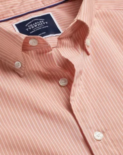 Fashion Charles Tyrwhitt Button-Down Collar Non-Iron Stretch Fine Stripe Shirt - Orange