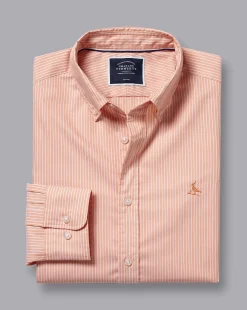 Fashion Charles Tyrwhitt Button-Down Collar Non-Iron Stretch Fine Stripe Shirt - Orange