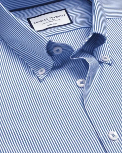 Discount Charles Tyrwhitt Button-Down Collar Non-Iron Stripe Shirt - Cobalt Blue