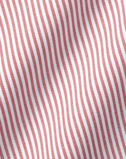 Store Charles Tyrwhitt Button-Down Collar Non-Iron Stripe Shirt - Coral Pink