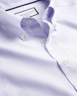 Outlet Charles Tyrwhitt Button-Down Collar Non-Iron Stripe Oxford Shirt - Purple Lilac