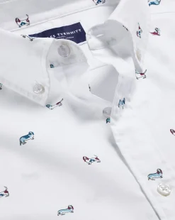 Fashion Charles Tyrwhitt Button-Down Collar Non-Iron Hound Print Shirt - Multi Multicoloured
