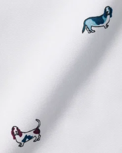 Fashion Charles Tyrwhitt Button-Down Collar Non-Iron Hound Print Shirt - Multi Multicoloured