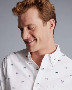 Fashion Charles Tyrwhitt Button-Down Collar Non-Iron Hound Print Shirt - Multi Multicoloured