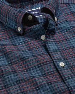 Cheap Charles Tyrwhitt Button-Down Collar Washed Oxford Check Shirt - Blackberry Blackberry Purple