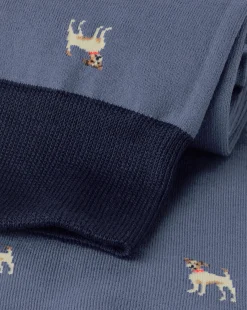 Discount Charles Tyrwhitt Dog Socks - Steel Blue