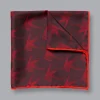 Shop Charles Tyrwhitt England Rugby Player Pocket Square - Berry