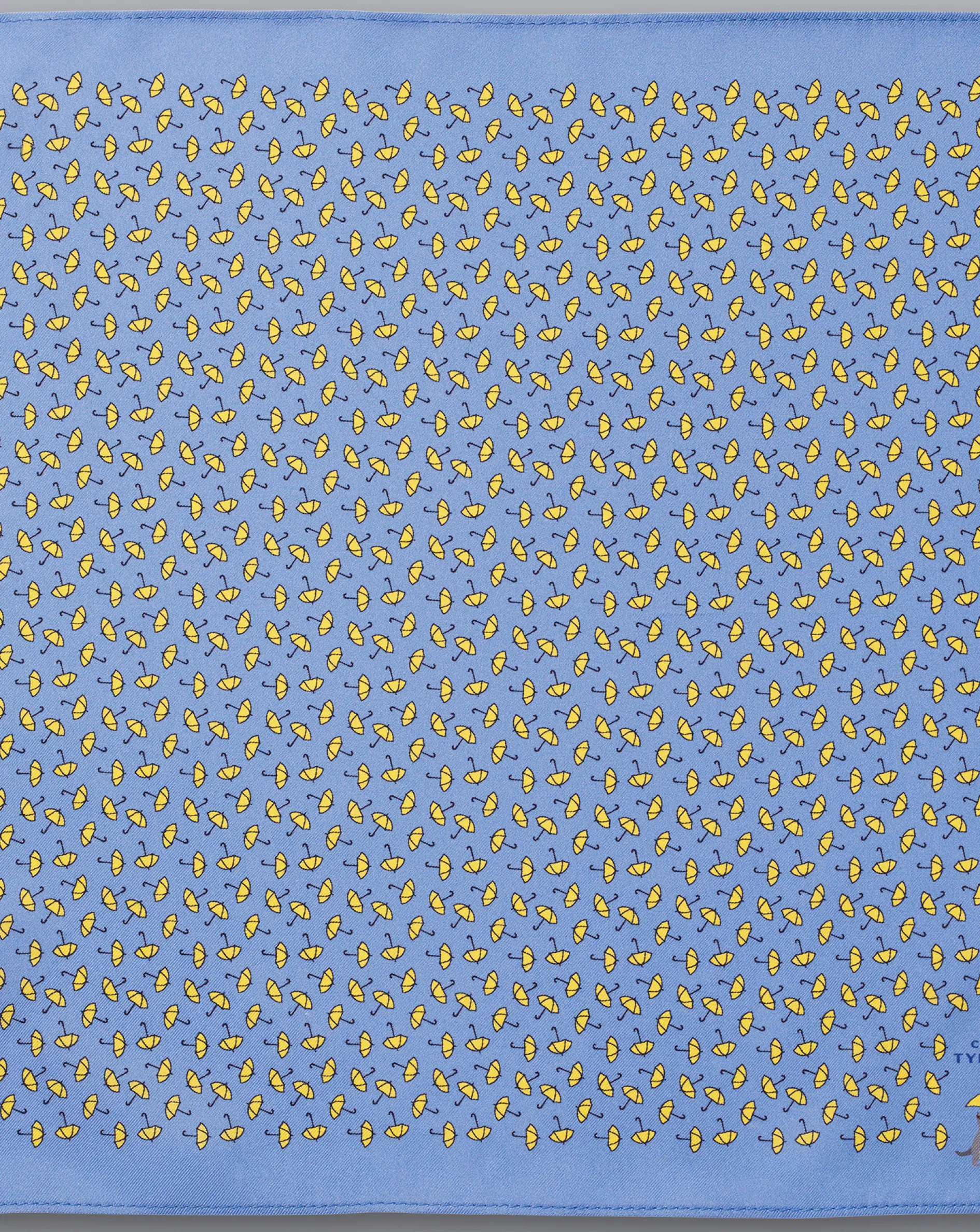 Clearance Charles Tyrwhitt Raining Cats And Dogs Print Silk Pocket Square - Cornflower Blue