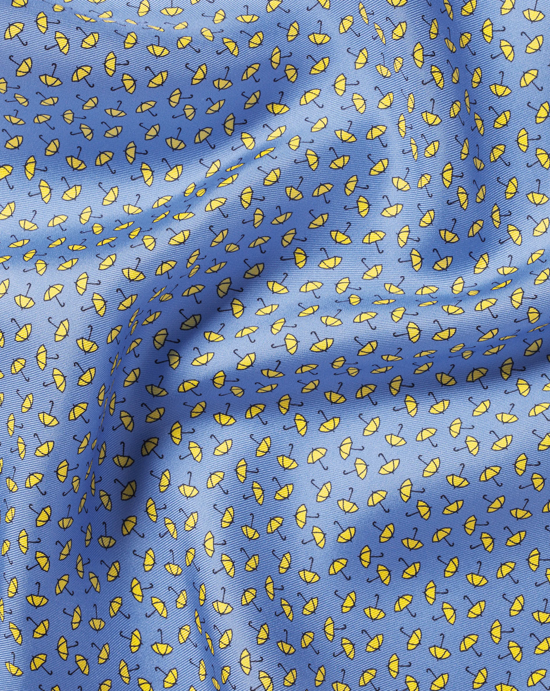 Clearance Charles Tyrwhitt Raining Cats And Dogs Print Silk Pocket Square - Cornflower Blue