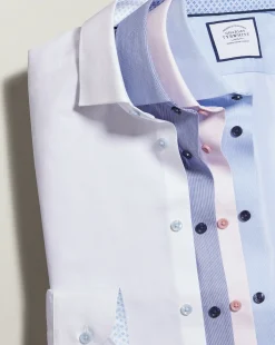 Online Charles Tyrwhitt Semi-Spread Collar Twill Printed Trim Shirt - Blue Sky